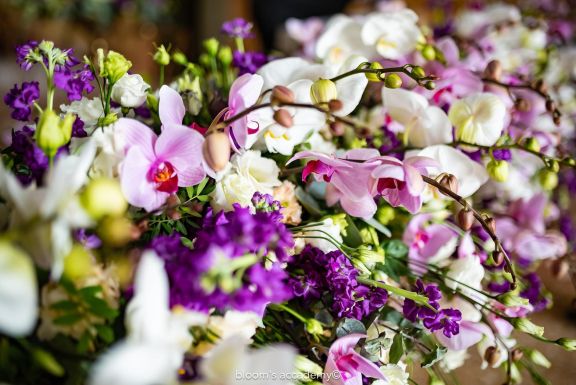 Bienvenido, Agosto: El Momento Perfecto para Flores Frescas y Vibrantes